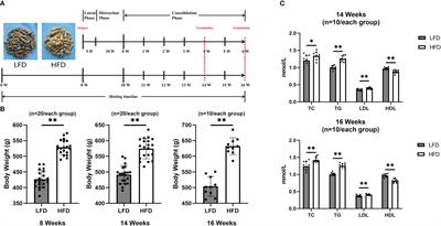 High-fat diet causes undesirable bone regeneration by altering the bone marrow environment in rats